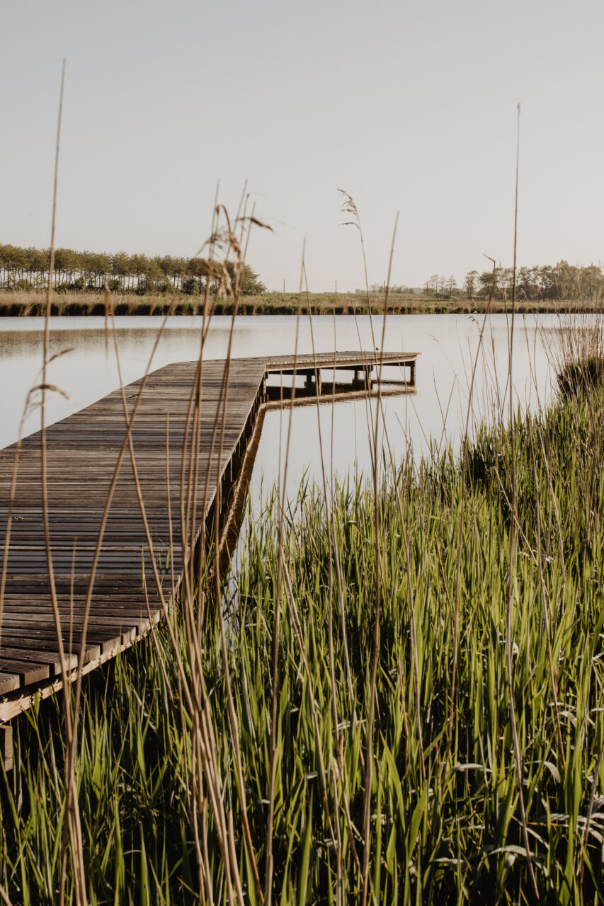 polders_stil1827_meetjesland_1